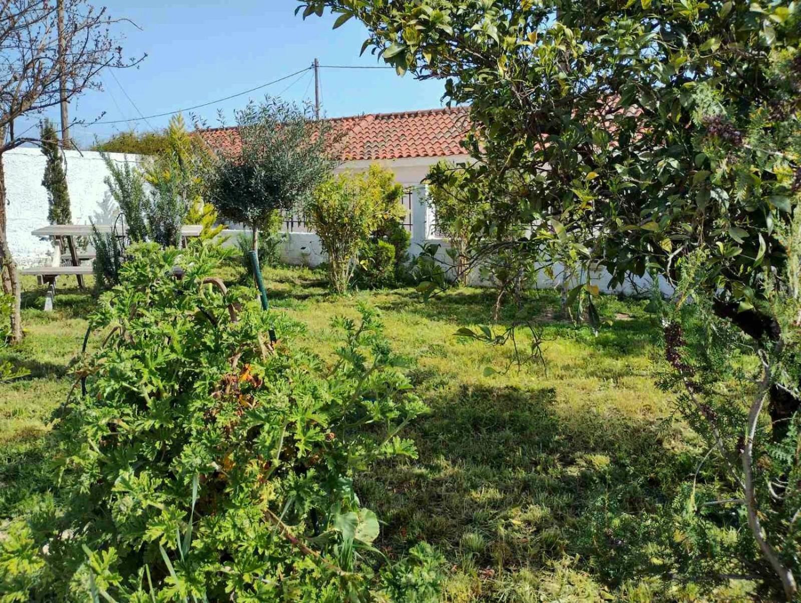Nafplio Cottage-Grandma'S Yard Асини Экстерьер фото
